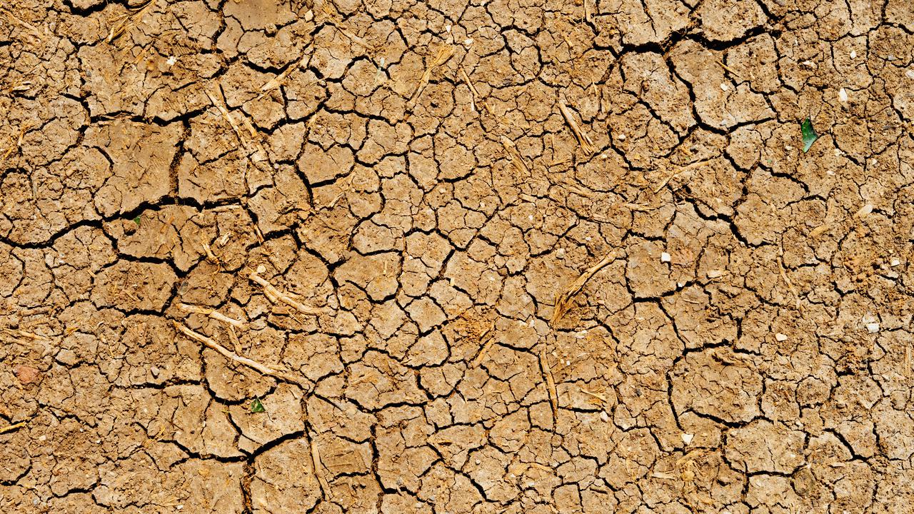[Fimela] Ilustrasi Kemarau dan Kekeringan