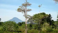 Gunung Klabat di Sulawesi Utara. (Dok: Gunung Bagging&nbsp;