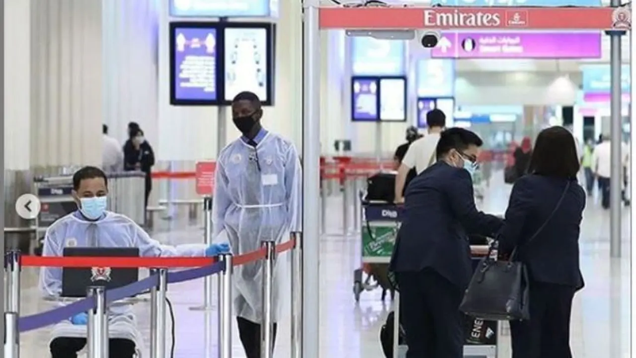 Bandara Dubai Gunakan Anjing untuk Lacak Penumpang Terinfeksi Covid-19