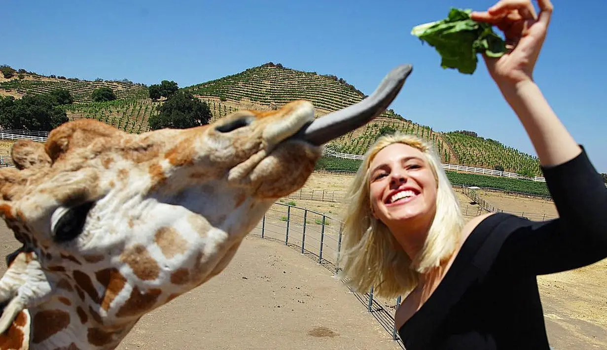 Dilansir dari TheSun, setiap hari Lele Pons memikirkan cara agar para penggemarnya tak berhenti tertawa. Hal itulah yang menjadi kunci kesuksesannya. (instagram/lelepons)