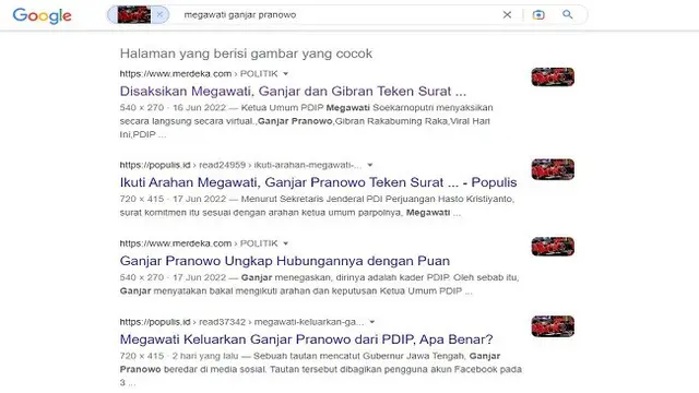 Gambar Tangkapan Layar Penelusuran Foto Menggunakan Google Images.