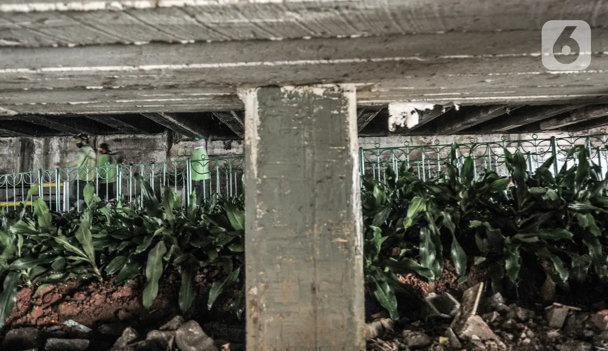 Kondisi taman yang sedang dibangun di kolong Jembatan Pegangsaan, Jakarta, Selasa (19/1/2021). Kolong jembatan yang sebelumnya dihuni oleh tunawisma tersebut kini diubah menjadi taman. (merdeka.com/Iqbal S. Nugroho)