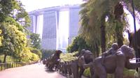 Gardens by the Bay sekarang menjadi tuan rumah patung terpanjang di dunia, yang berfungsi sebagai panggilan bagi pengunjung untuk melakukan bagian mereka dalam menyelamatkan satwa liar. (Tangkapan layar CNA)