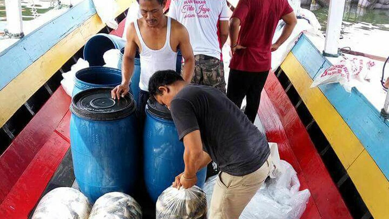 Panen Ikan Dini Petani Keramba Jaring Apung di Waduk Jangari