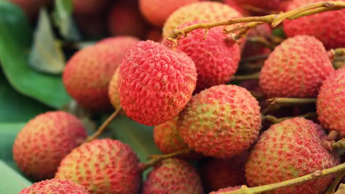 Foto : Copyright Thinkstockphotos.com