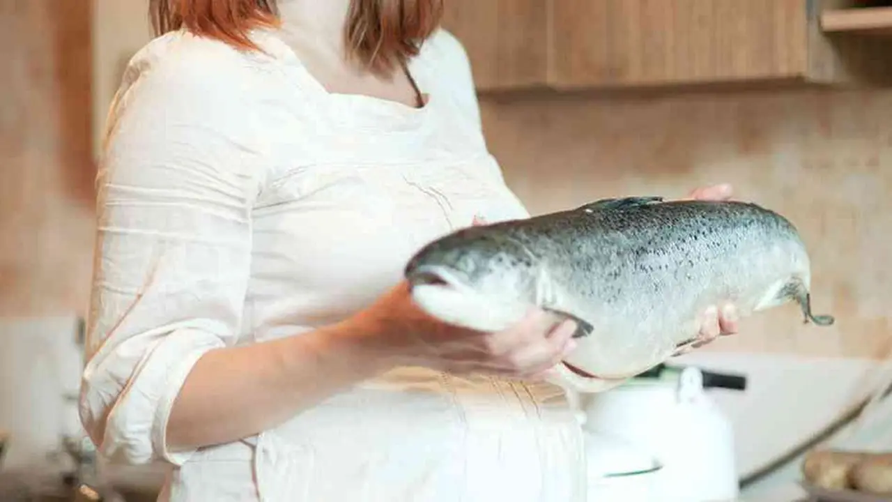 Pro dan Kontra Tuna Kalengan Untuk Konsumsi Ibu Hamil