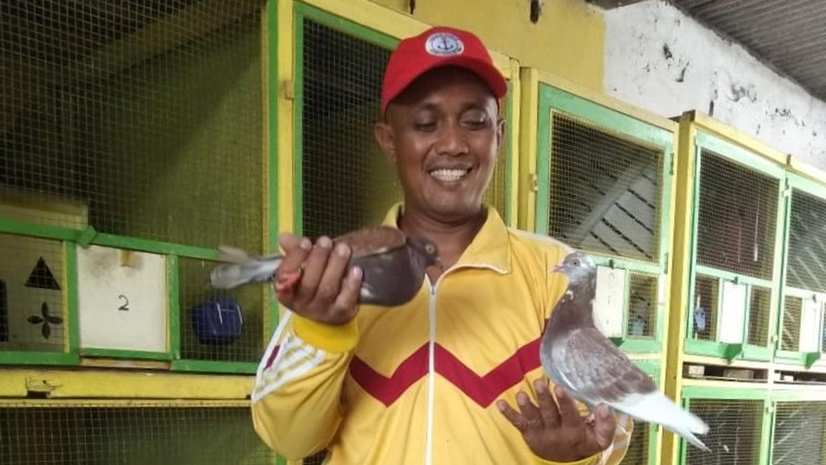 11 Usaha Ternak yang Menghasilkan Uang Setiap Hari, Begini Mengelola Modal Kecil Hasil Besar