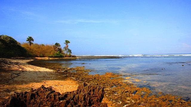 Pantai Plengkung