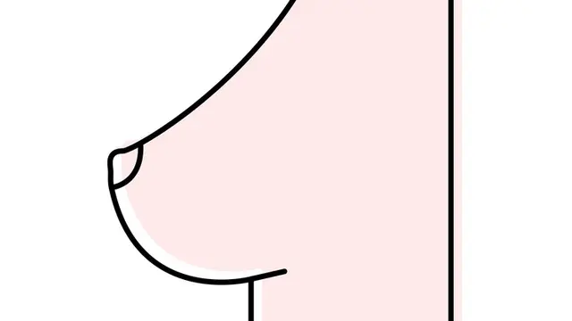 [Bintang] Payudara menukik