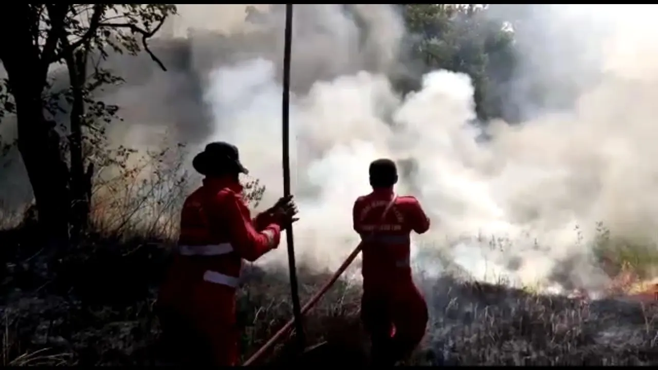 Kisah Para Penantang Maut di Taman Nasional Bombana