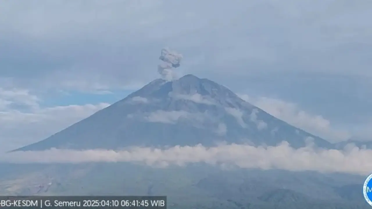 Gunung Semeru Lima Kali Erupsi, Tinggi Letusan Capai 800 Meter (Istimewa)