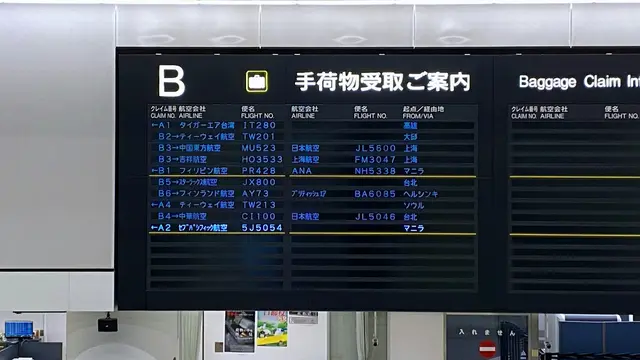 Antrean Panjang di Bandara Narita Jepang Gara-gara Sistem Bea Cukai Elektronik