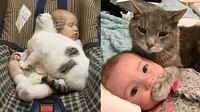 Kucing menjaga bayi (Sumber: Twitter/ReceinAja)