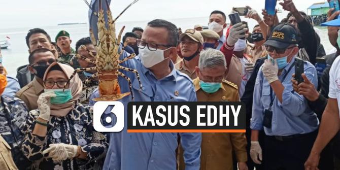 VIDEO: Edhy Prabowo Mundur, Gerindra Siapkan Pengganti Waketum