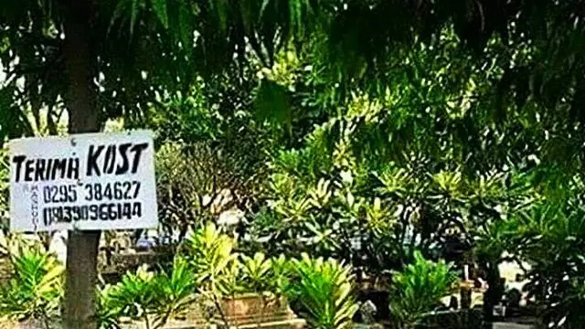 6 Tulisan Nyeleneh di Pohon Ini Tidak Jelas, Bikin yang Baca Jadi Bingung