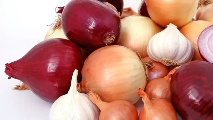 Bawang bombay dan putih/copyright Pixabay.com/Meditations