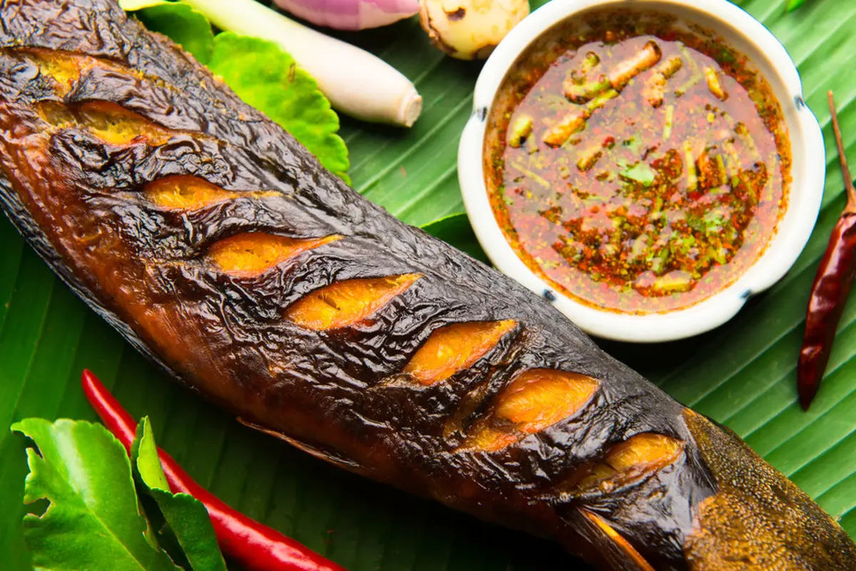 lele bakar