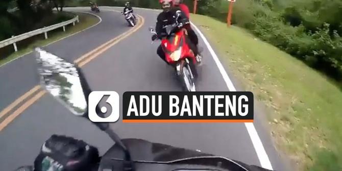 VIDEO: Terekam, Detik-detik Pemotor Adu Banteng