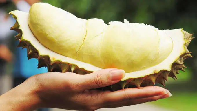 Buah durian/copyright Shutterstock.com