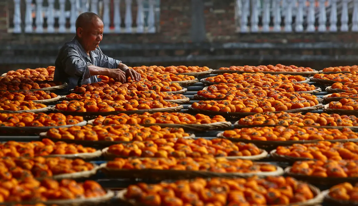 Seorang warga menata buah kesemek yang dijemur di atap rumahnya di Desa Anxi, Fujian, selatan China, 13 Desember 2016. Sejumlah warga memanfaatkan atap rumah mereka untuk mengeringkan kesemek yang akan dijadikan manisan. (REUTERS/Stringer)