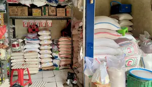 Harga Beras Kembali Turun Senin 19 Oktober 2026