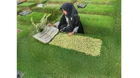 5 Momen Haru Seleb Saat Ziarah Ke Makam Keluarga Jelang Ramadan