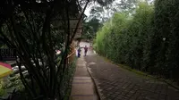 Memaknai Pagi di Kebun Bambu Sumowono