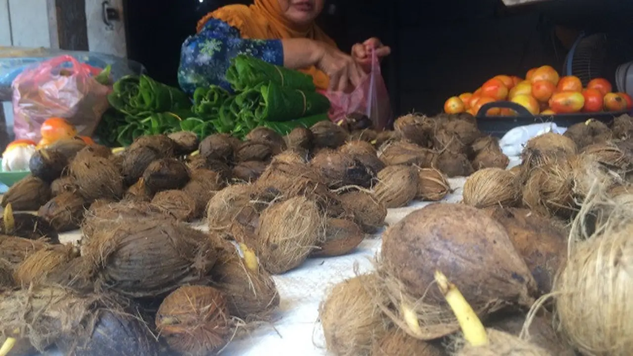 3 Barang yang Tak Laku Dijual di Ambon tapi Berharga Mahal di Aru