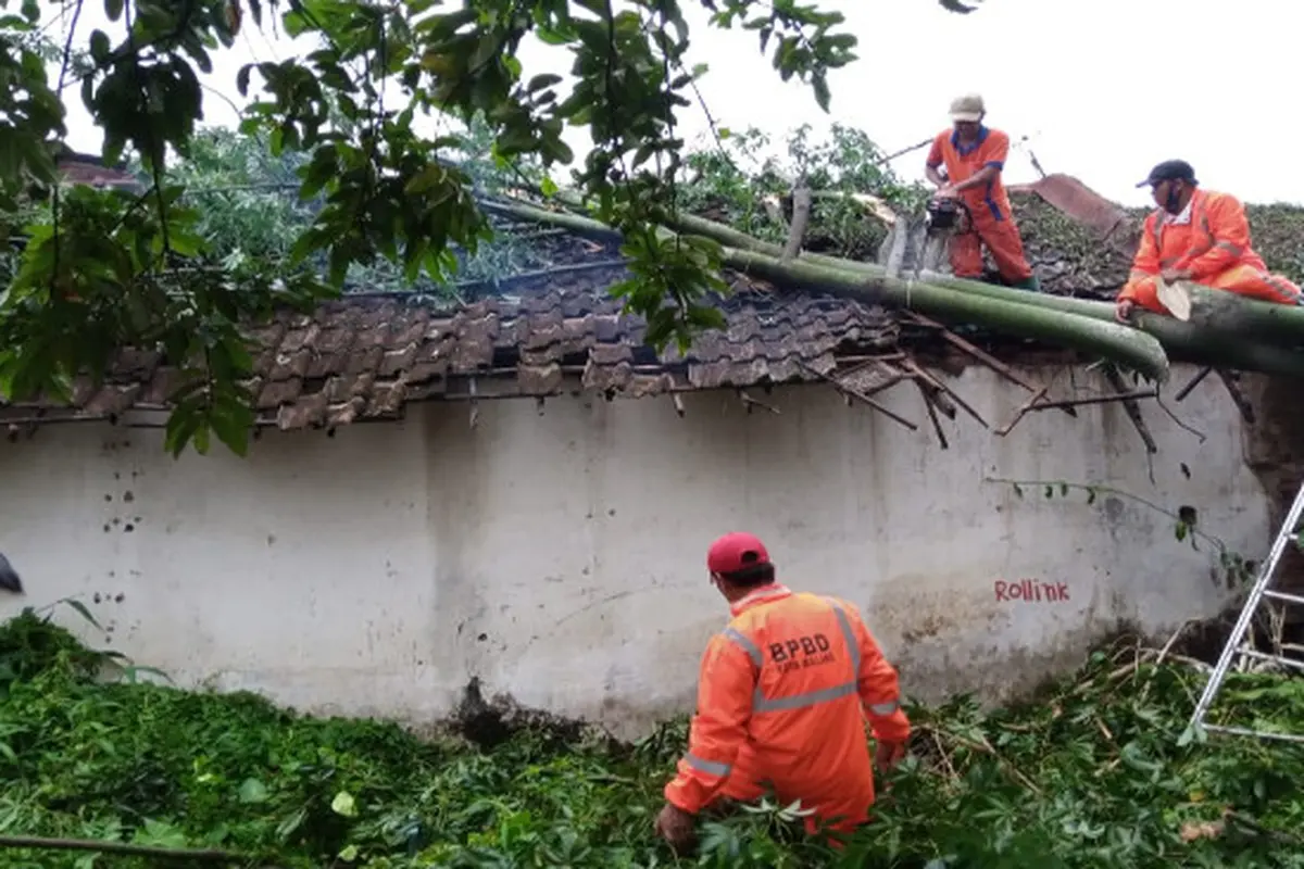 Fenomena Hujan Es Hingga Pohon Tumbang Melanda Malang Akibat Cuaca Ekstrem