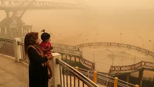 Kabut Asap Karhutla di Kalimantan Ancam Kesehatan dan Lumpuhkan Aktivitas Warga