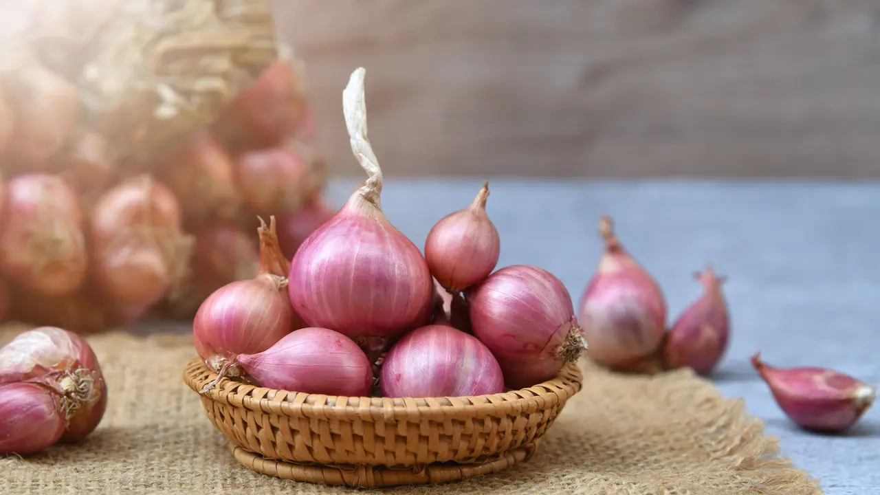 bawang merah wadah