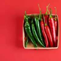 Supaya tidak cepat busuk, simpan cabai dengan cara-cara ini/copyright shutterstock/Agave Studio