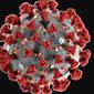 Ilustrasi Virus Corona 2019-nCoV (Public Domain/Centers for Disease Control and Prevention's Public Health Image)
