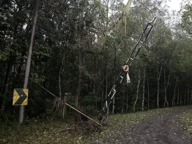 Akses jalan menuju Dusun Sogra yang dipenuhi pohon tumbang dan abu vulkanik di Desa Sebudi, Karangasem, Bali, Minggu (3/12). (Liputan6.com/Immanuel Antonius)