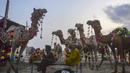 Pedagang unta menunggu pelanggan di pasar ternak menjelang Idul Adha, di pinggiran Karachi, Pakistan. (AFP/Asif Hassan)