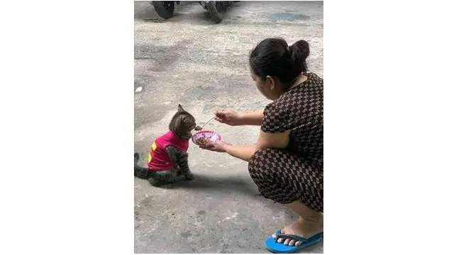 6 Kelakuan Nyeleneh Orang Suapi Makan Hewan Ini Bikin Geleng Kepala