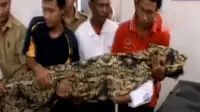 Ikuti Acara di Aula Sekolah, Siswa SMP Meninggal Dunia 
