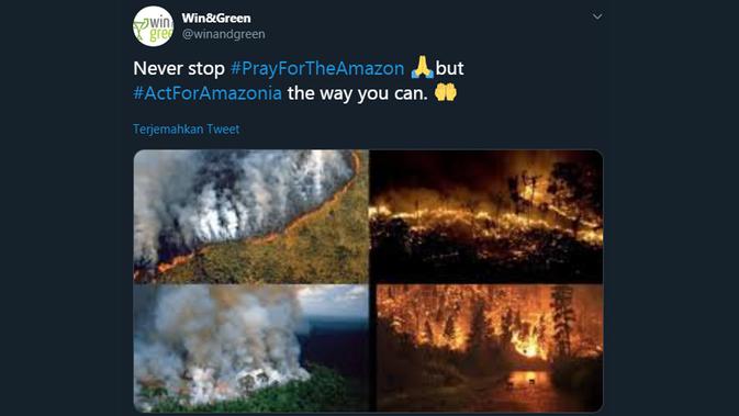 Unggahan warganet tentang kebakaran Hutan Amazon, Brasil. (Sumber: Twitter @winandgreen)