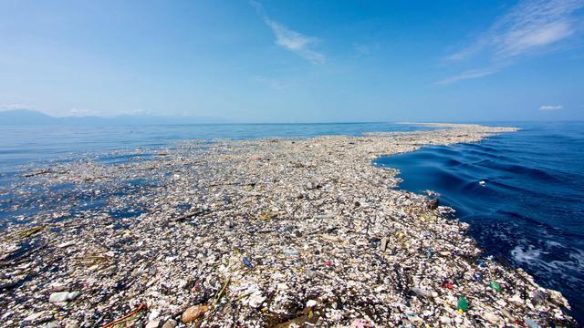 Berenang Di Laut Tingkatkan Risiko Terserang Penyakit Ini Alasannya Global Liputan6 Com