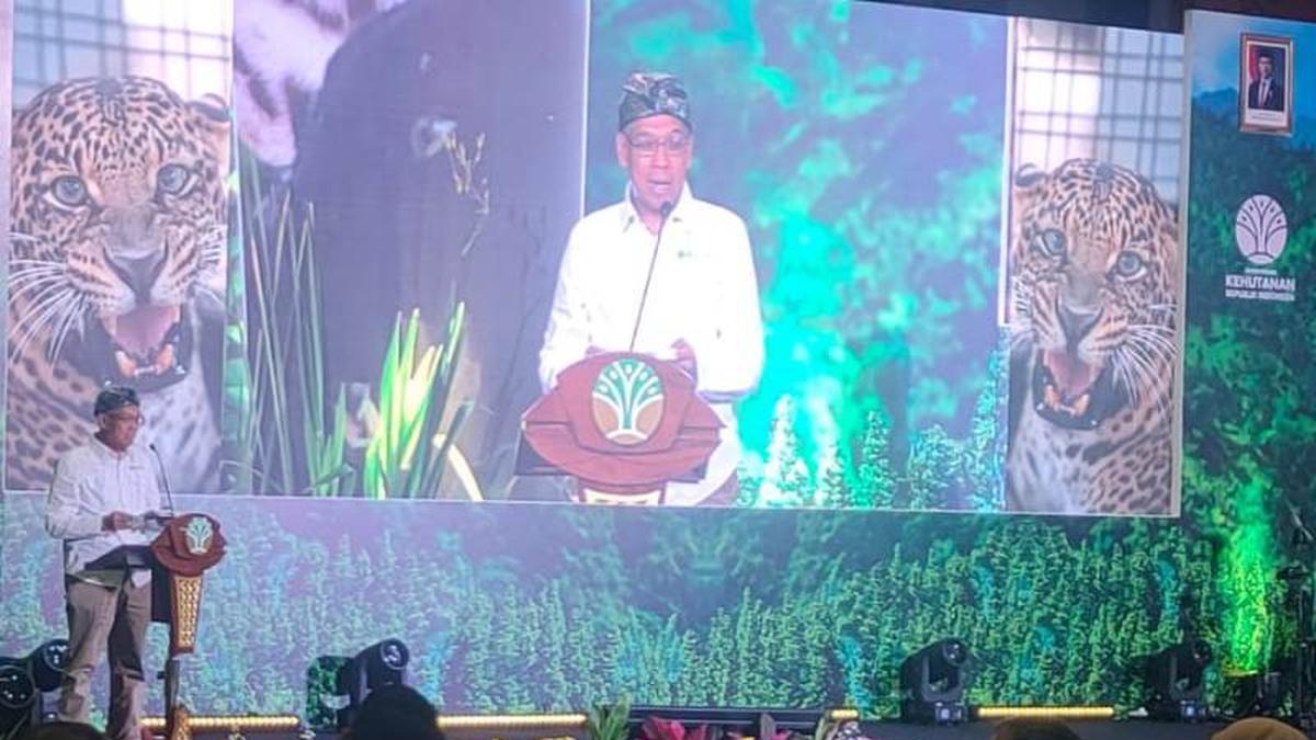 Cara Kementerian Kehutanan Menyiasati Pemotongan Anggaran