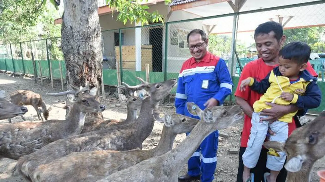 Penangkaran Rusa Jawa oleh Pertamina