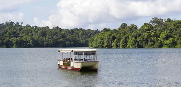 Penumpang River Safari Cruise sedang menikmati pemandangan alam hutan tropis dengan perairan yang Indah di sepanjang Upper Seletar Reservoir, Singapura |copyright Wildlife Reserves Singapore