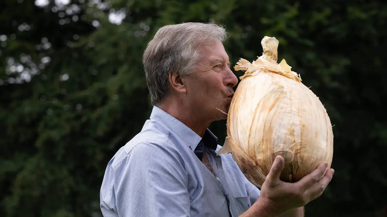 Penampakan bawang seberat 9 Kg