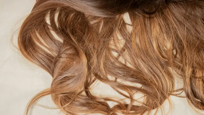 Mengalami Rambut Rontok? Begini Perawatan dan Nutrisi Agar Rambut Lebih Sehat