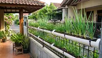 7 Model Teras dengan Daun Bawang dalam Talang PVC, Ide Berkebun yang Hemat Tempat