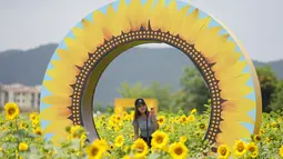 Warga pun datang untuk menikmati keindahan bunga matahari. (AP Photo/Lee ​​Jin-man)
