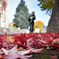 Gambar 18 Oktober 2018 memperlihatkan dedaunan jatuh ke tanah saat musim gugur di depan gereja Sainte-Bernadette, Orvault, Prancis. Musim gugur ditandai dengan perubahan warna daun serta bergugurannya daun-daun dari pohonnya. (LOIC VENANCE/AFP)
