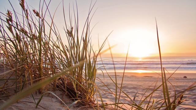 Kata-Kata Tentang Senja