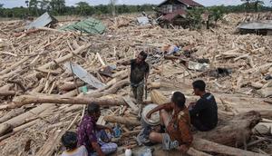 Dalam catatan Badan Nasional Penanggulangan Bencana (BNPB), bencana banjir dan longsor di Aceh Tamiang mengakibatkan kerusakan sebanyak 2.800 unit rumah, 127 fasilitas umum, 62 gedung atau kantor, 54 fasilitas pendidikan, 40 fasilitas kesehatan, 33 rumah ibadah, dan dua jembatan. Tampak dalam foto, warga beristirahat sambil mencari sisa-sisa rumah mereka yang terkubur di bawah tumpukan pohon tumbang yang disapu banjir bandang, di desa Lintang Baru di Aceh Tamiang, Sumatera Utara, pada Kamis 11 Desember 2025. (Aditya Aji/AFP)