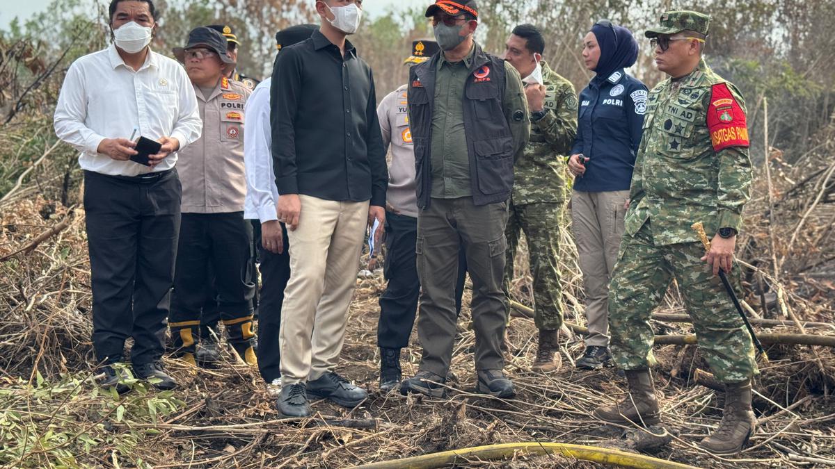 Gibran Tinjau Penanganan Kebakaran Hutan di 3 Provinsi Kalimantan